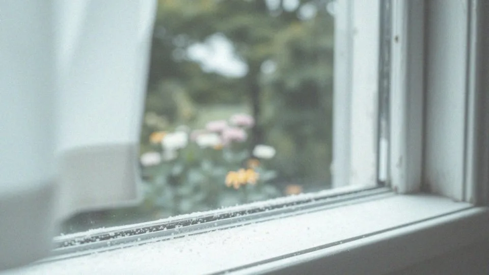 Jakie są skutki ekspozycji na pyłki?