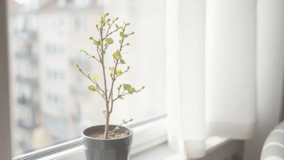 Gęsty katar alergiczny – przyczyny, objawy i skuteczne leczenie