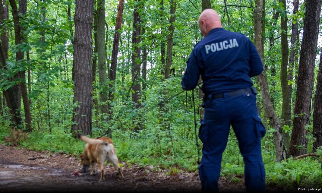 Wysoka kara dla nieodpowiedzialnego kierowcy w Wereszynie