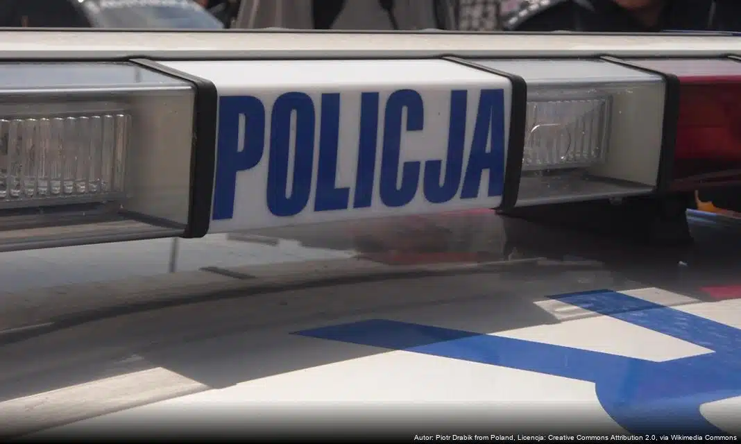 Bezpieczne zakupy przedświąteczne – jak unikać zagrożeń