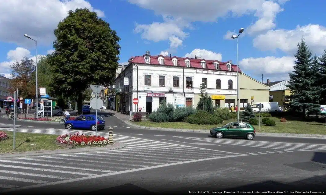 Rozstrzygnięcie otwartego konkursu ofert na wsparcie kultury fizycznej i sportu w Hrubieszowie