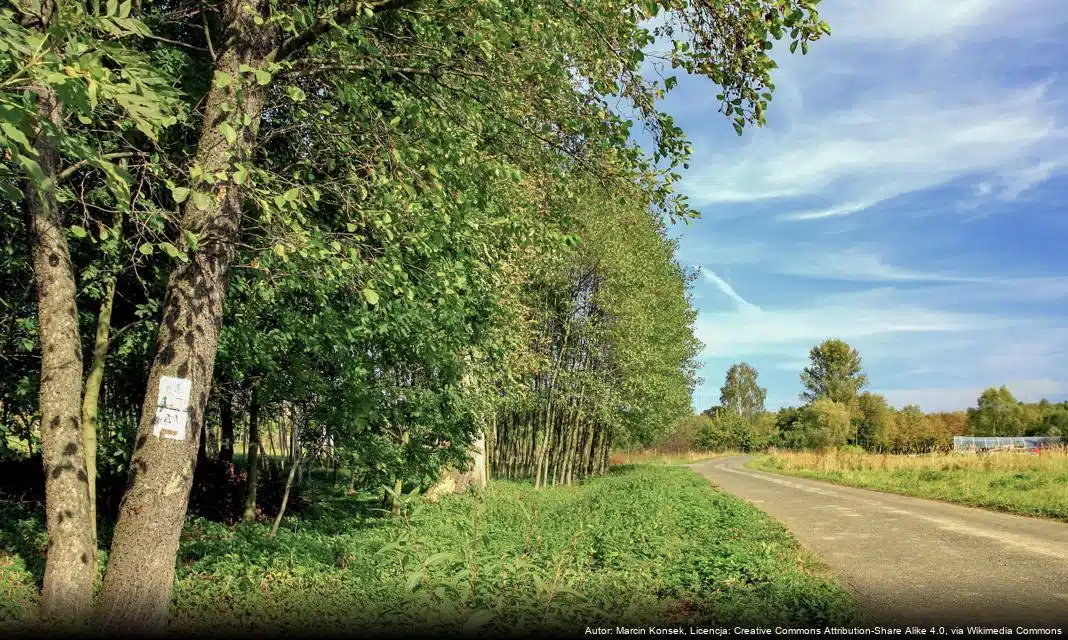 Pierwsza mieszkanka Hrubieszowa urodzona w 2026 roku